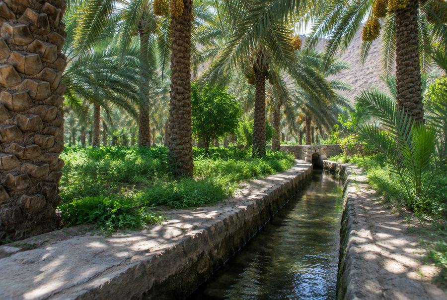 Car rental in Al Ain